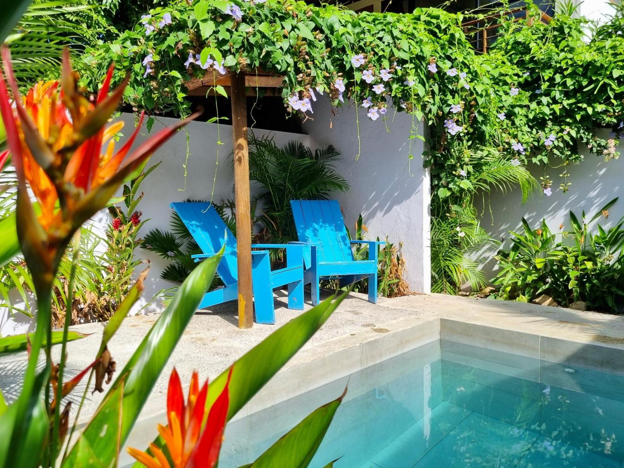 Villa Casas La Floristeria à Palomino Extérieur photo